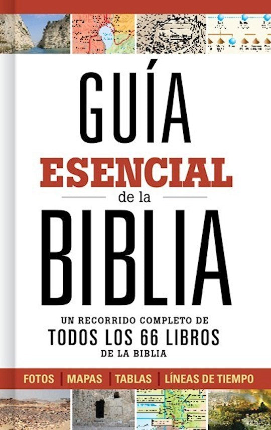 Guia Esencial de la Biblia (The Ultimate Bible Guide)
