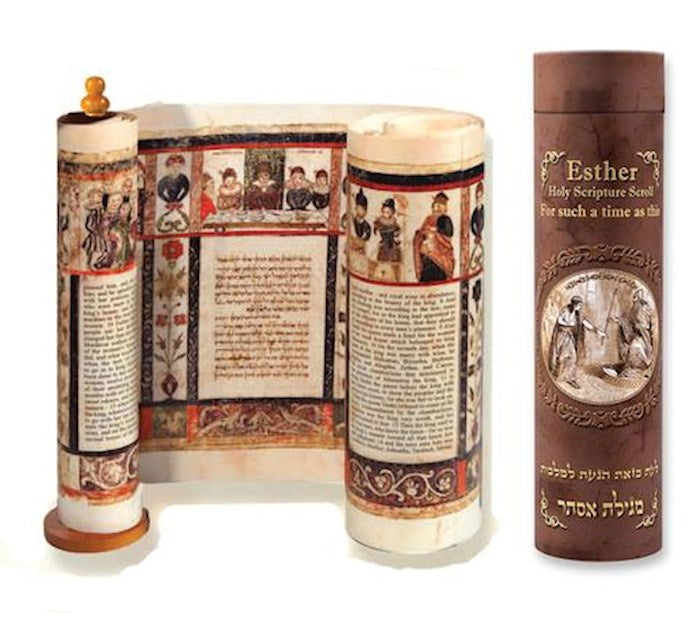 Esther Scroll In Decorative Box (Hebrew And English) (11.75&quot; x 3&quot;) (