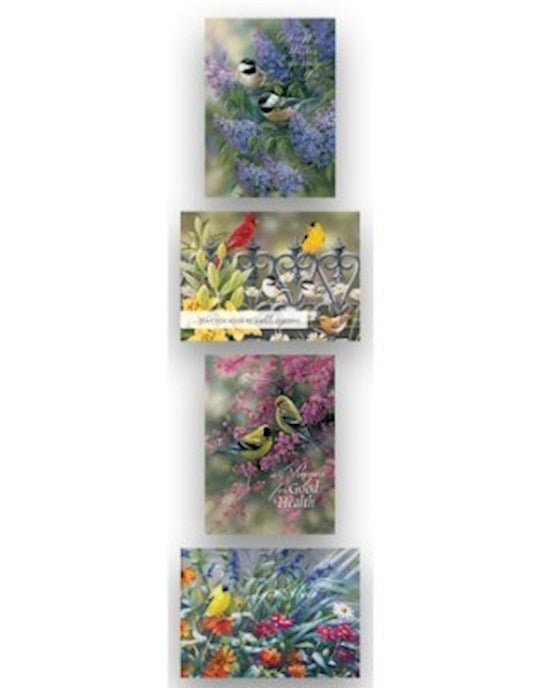 Boxed Card-Get Well 3-Birds (Shared Blessings) (Box Of 12)