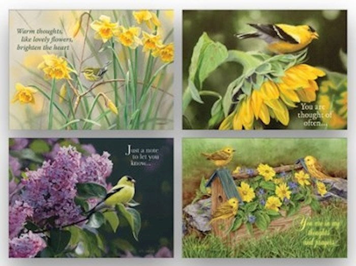 Boxed Card-Thinking Of You 2-Birds (Shared Blessings) (Box Of 12)