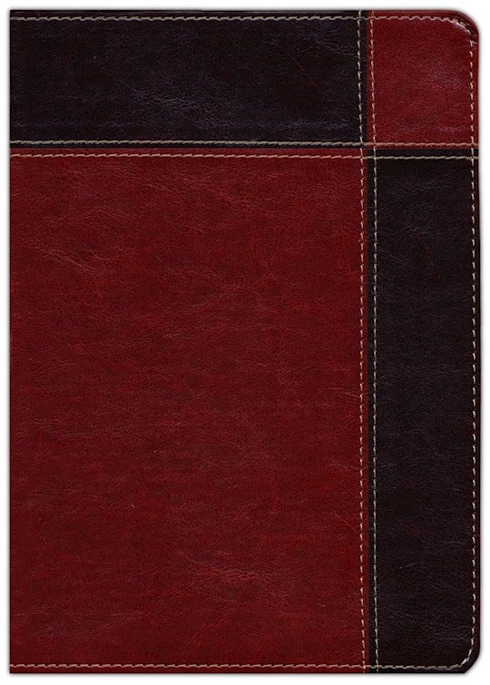 RVR 1960 Biblia de Estudio Ryrie Ampliada (Ryrie Study Bible Expanded)-Brown DuoTone