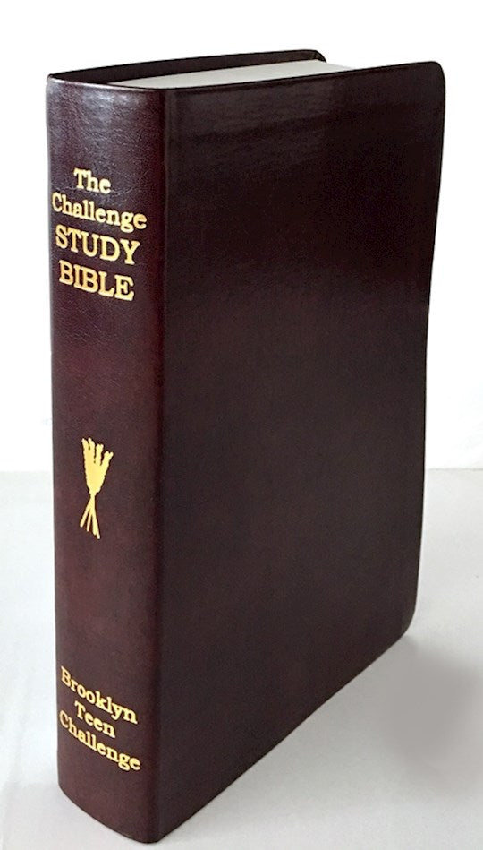 CEV The Challenge Study Bible-Brown FlexiCover