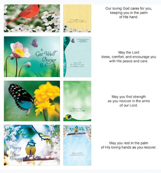 Boxed Card-Get Well Birds And Butterflies (Shared Blessings) (Box Of 12)
