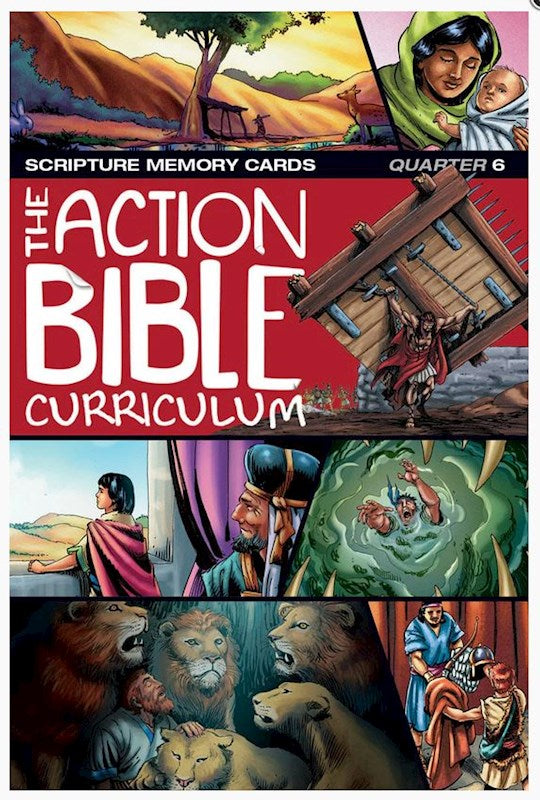 NIV The Action Bible Scripture Memory Cards Q6(