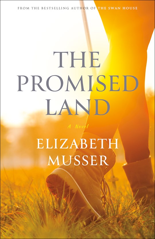 The Promised Land: A Novel
