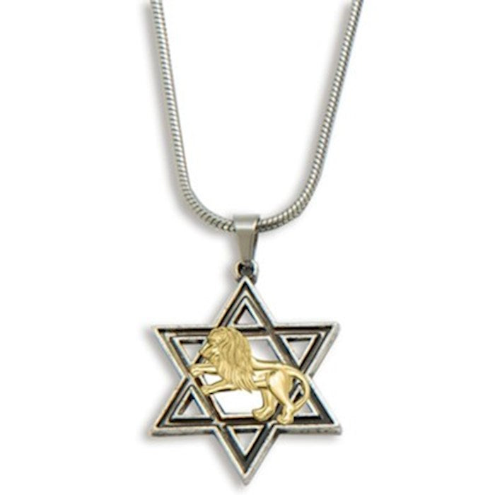 Pendant-Star Of David &amp; Lion Of Judah (Stainless Steel) (