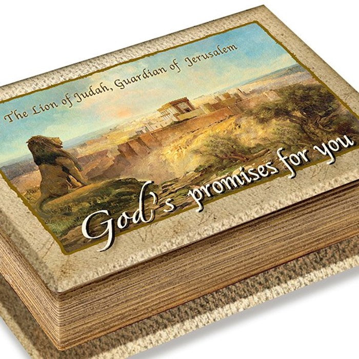 Promise Box-Gods Promises For You w/120 Cards In Painted Canvas Cloth Box (