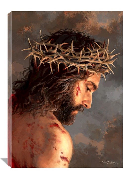 Frameless Canvas-Crown Of Thorns (10 x 14)