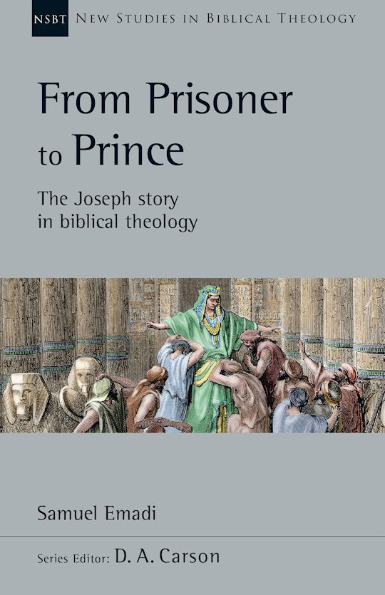 From Prisoner To Prince (New Studies In Biblical Theology)