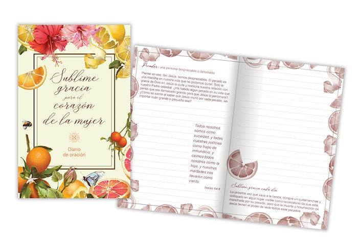 Spanish-Prayer Journal-Amazing Grace (Pack Of 12)