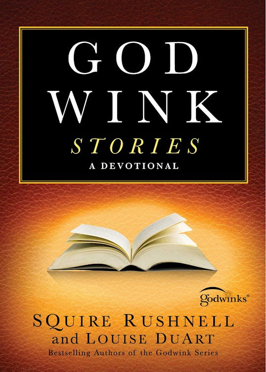 Godwink Stories: A Devotional (Godwinks 