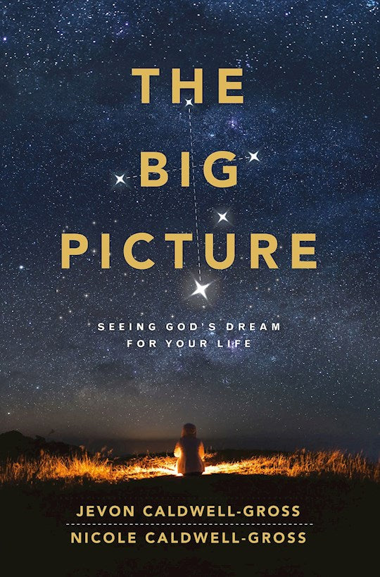 The Big Picture
