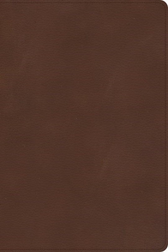 CSB Rainbow Study Bible-Brown LeatherTouch Indexed