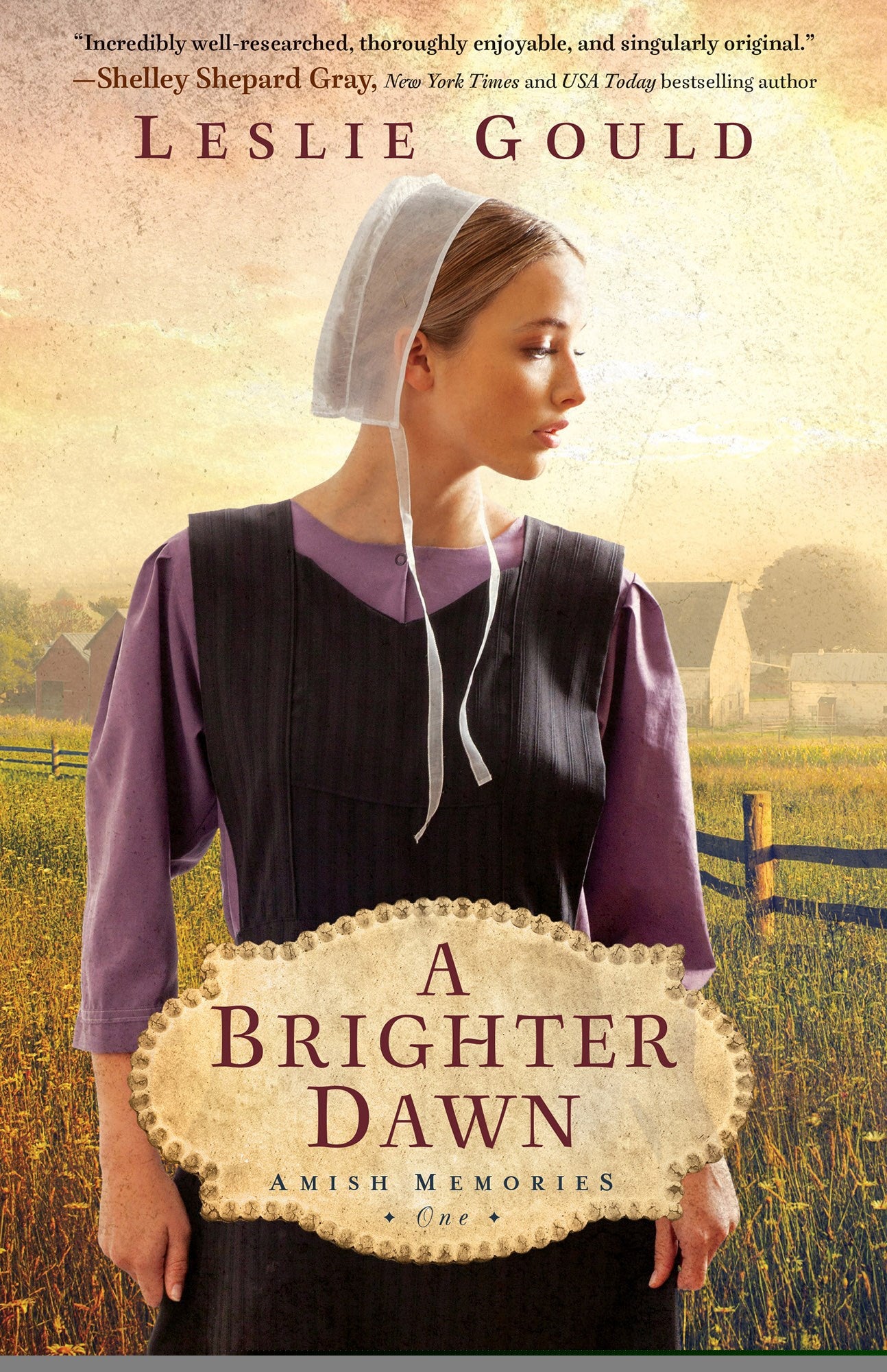 A Brighter Dawn (Amish Memories 