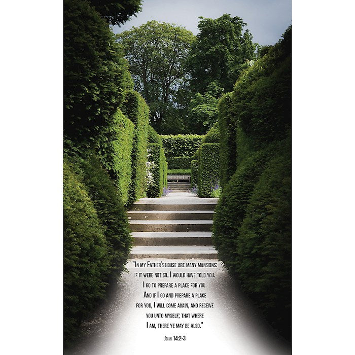 Bulletin-In My Father&