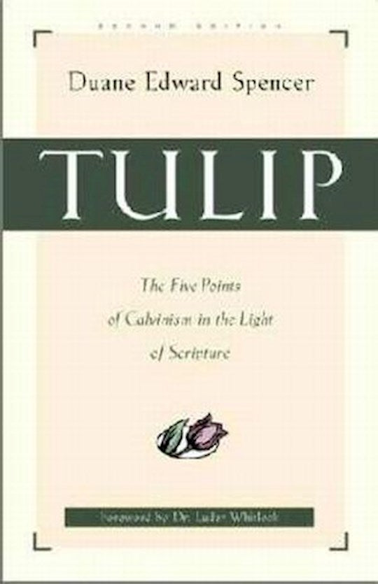 Tulip