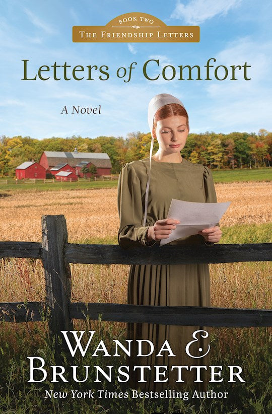 Letters Of Comfort (Friendship Letters 
