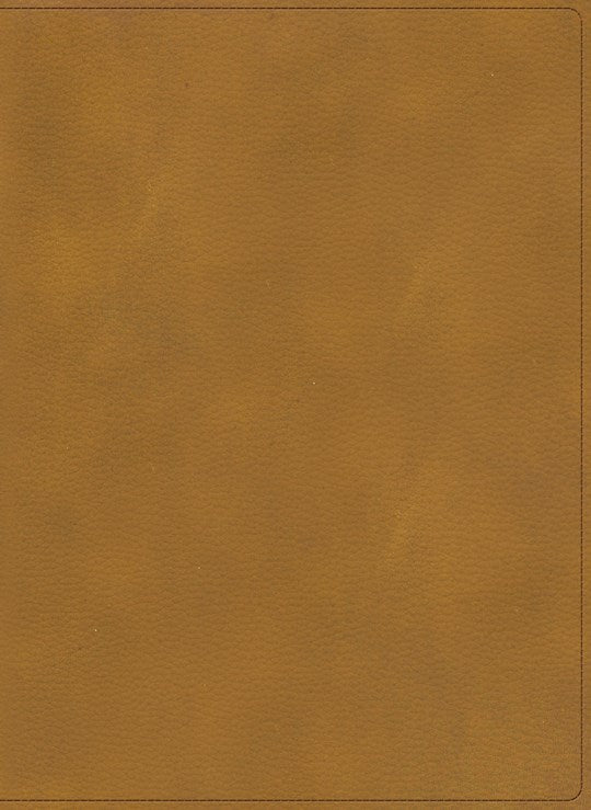 RVR 1960 Biblia Ilustrada de la Tierra Santa (Holy Land Illustrated Bible)-Coffee LeatherTouch