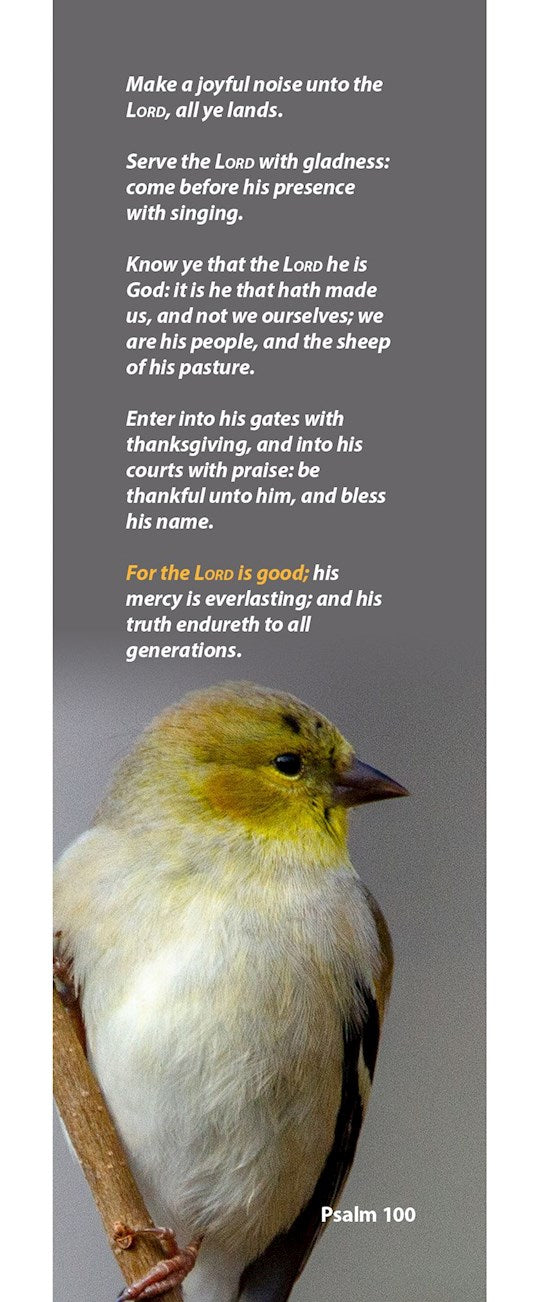 Bookmark-Make A Joyful Noise Unto The Lord All Ye Lands (Pack Of 25)