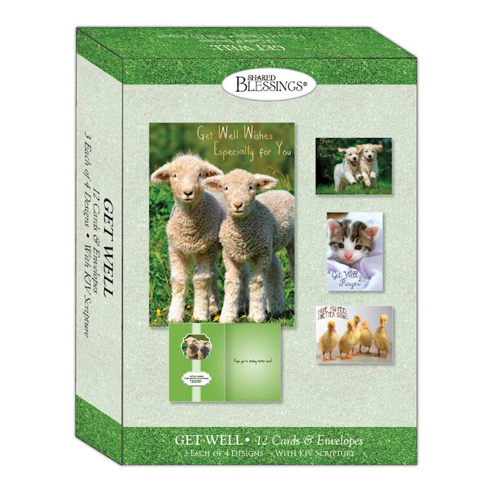 Boxed Card-Get Well-Fun Friends (Shared Blessings) (Box Of 12)