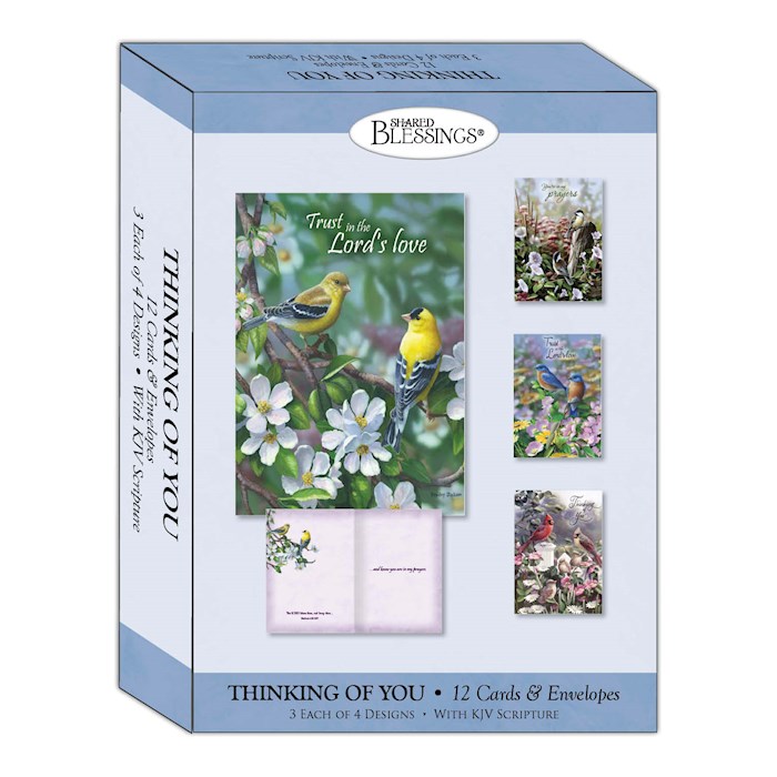 Boxed Card-Thinking Of You: Signs Of Spring (Shared Blessings) (Box Of 12)