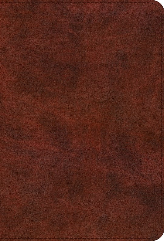 ESV Bible Promises-Brown TruTone