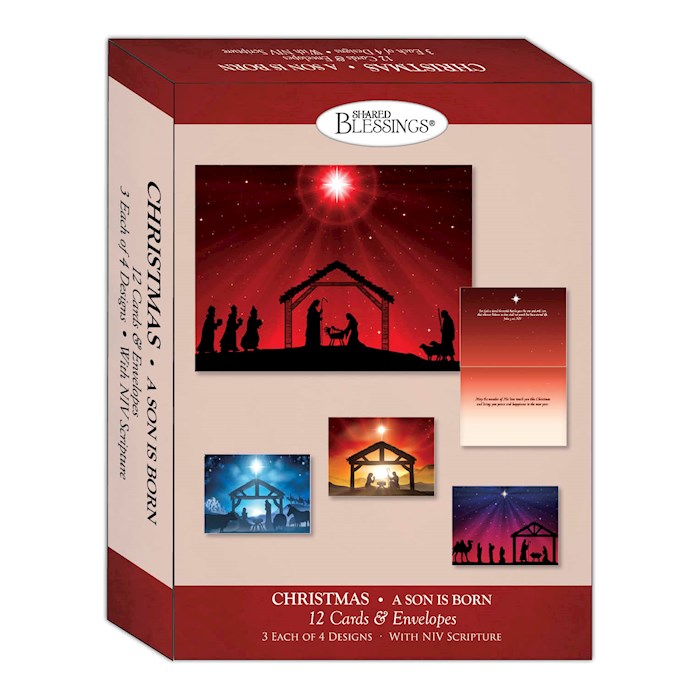Boxed Card-Christmas: A Son Is Born Assortment (Shared Blessings) (Box Of 12)