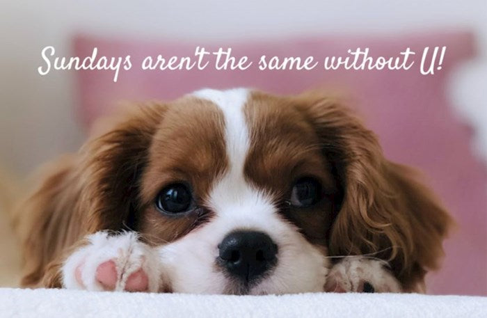 Postcard-Sundays/Sundays Aren&