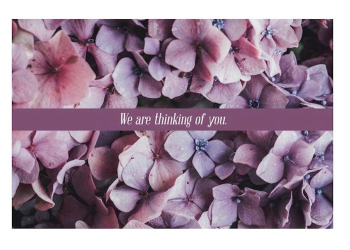 Postcard-We Are Thinking Of You (Matthew 5:6 KJV) (Pack Of 25)