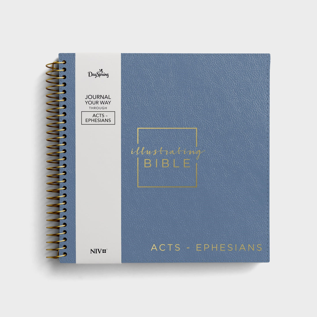 NIV Illustrating Bible-Acts-Ephesians-Blue Faux Leather