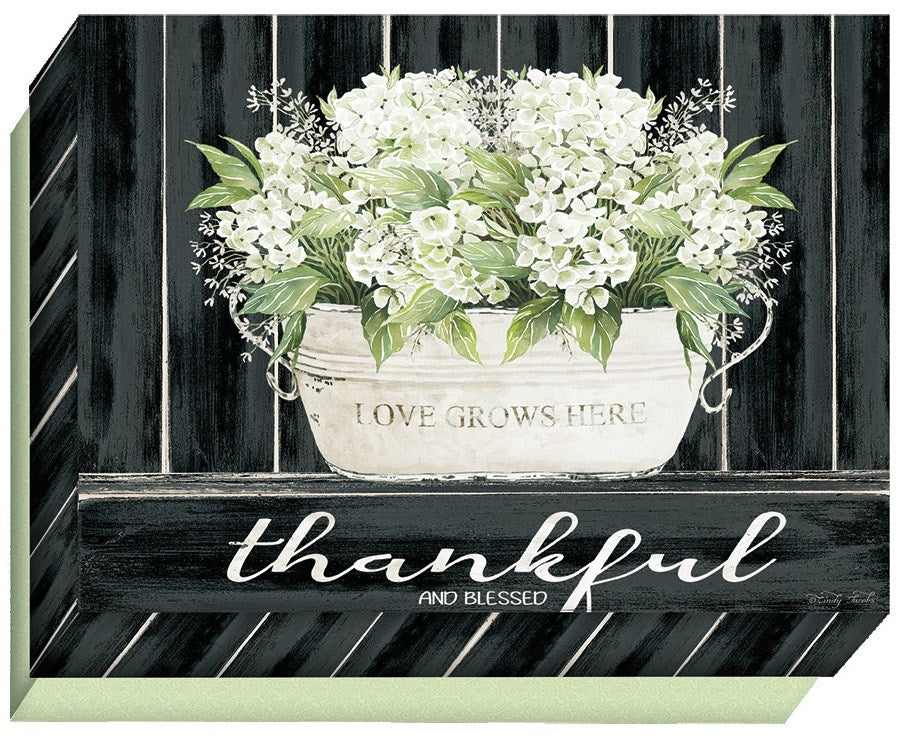 Note Card-Blank-Full Color-White Hydrangeas/Thankful And Blessed (Box Of 15)