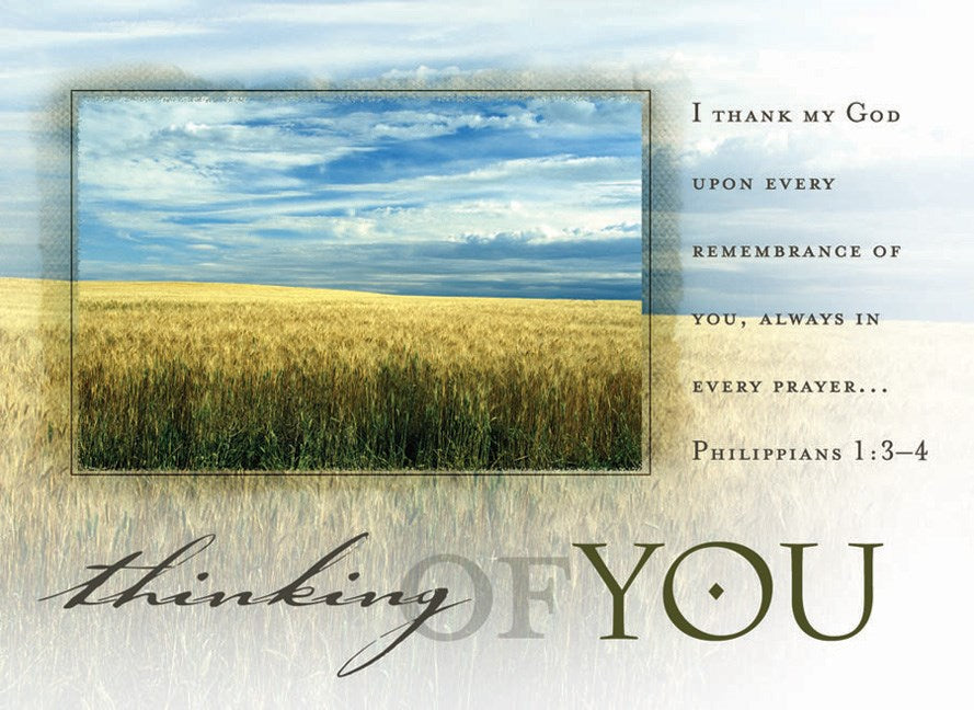 Seed of Abraham Christian Bookstore - Postcard-Thinking Of You/Field (Philippians 1:3-4 KJV) (Pack Of 25)