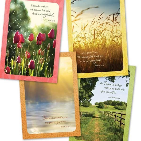 Seed of Abraham Christian Bookstore - (In)Courage - Card-Boxed-Sympathy-Serenity (Box Of 12)