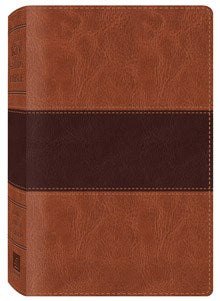 Seed of Abraham Christian Bookstore - (In)Courage - KJV Study Bible-Brown/Brown DiCarta