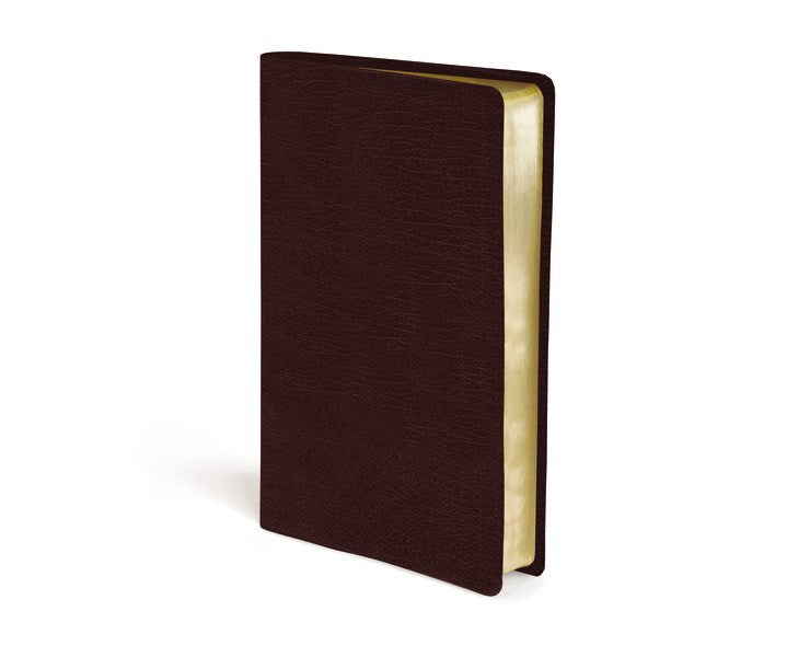 Seed of Abraham Christian Bookstore - Contemporary Comparative Side-By-Side Bible-NIV/NKJ/NLT/MS-Burgundy Bonded Leather