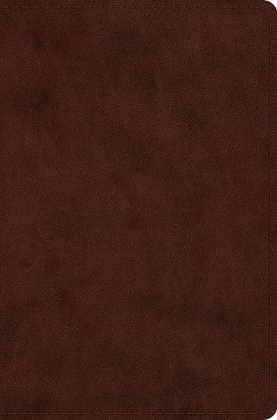 Seed of Abraham Christian Bookstore - (In)Courage - ESV Compact Bible-Brown TruTone