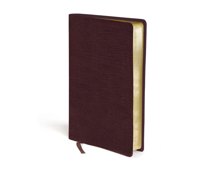 Seed of Abraham Christian Bookstore -Amplified Holy Bible (Revised)-Burgundy Bonded Leather