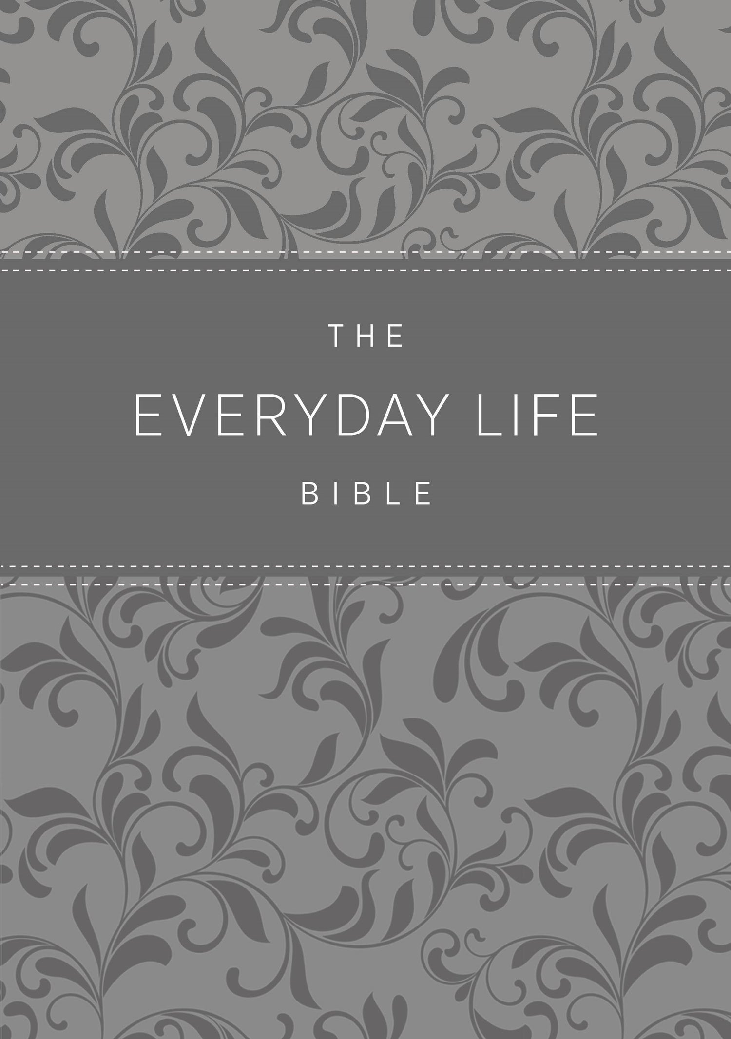 Seed of Abraham Christian Bookstore - Joyce Meyer - Amplified The Everyday Life Bible-Gray Euroluxe