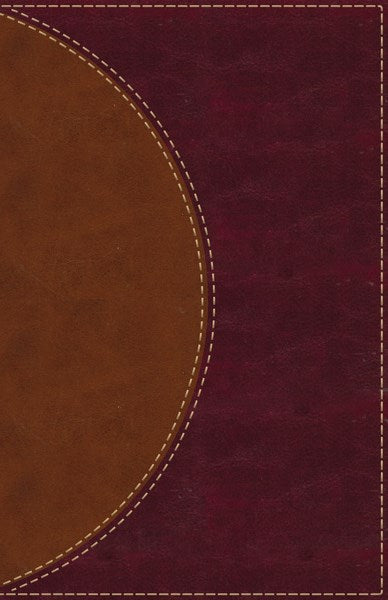 Seed of Abraham Christian Bookstore - Amplified Reading Bible-Brown LeatherSoft Indexed