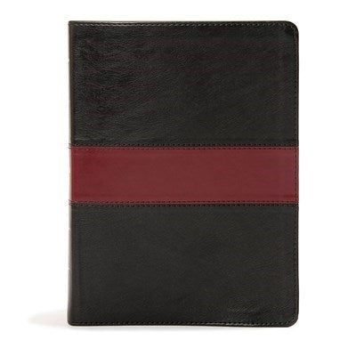 Seed of Abraham Christian Bookstore - (In)Courage - KJV Apologetics Study Bible-Black/Burgundy LeatherTouch
