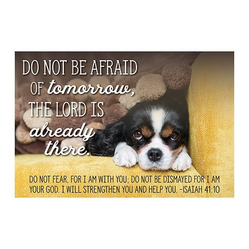 Seed of Abraham Christian Bookstore - (In)Courage - Cards-Pass It On-Do Not Be Afraid (3&quot; x 2&quot;) (Pack Of 25)