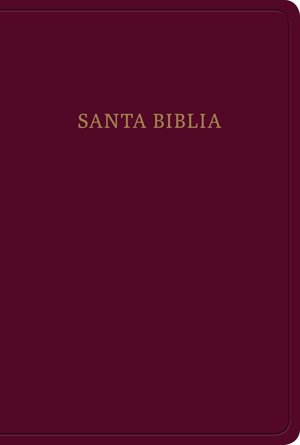Span-RVR 1960 Hand Size Giant Print Bible (Biblia Letra Grande Tamano Manual)-Burgundy Imitation Leather Indexed