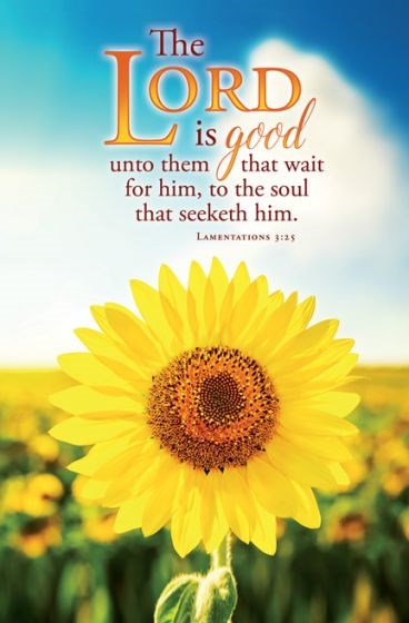 Bulletin-The Lord Is Good Unto Them That Wait (Lamentations 3:25  KJV) (Pack Of 100)
