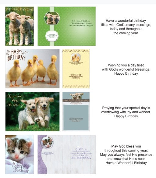 Seed of Abraham Christian Bookstore - (In)Courage - Card-Boxed-Shared Blessings-Birthday Fur And Feathers (Box Of 12)