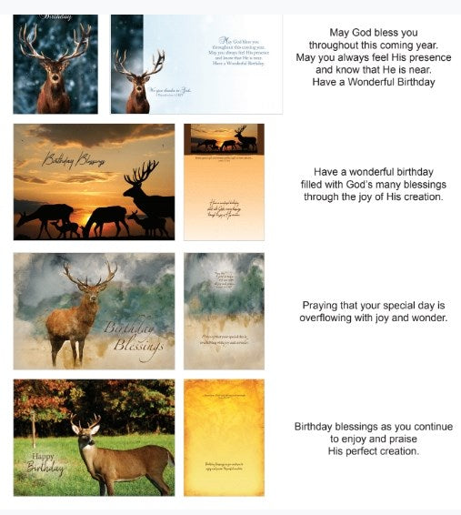 Seed of Abraham Christian Bookstore - (In)Courage - Card-Boxed-Shared Blessings-Birthday Wildlife (Box Of 12)