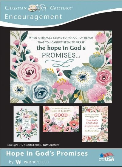 Seed of Abraham Christian Bookstore - (In)Courage - Card-Boxed-Words Of Hope Assorted Encouragement (KJV) (Box Of 12)