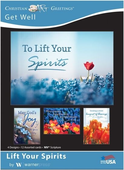 Seed of Abraham Christian Bookstore - (In)Courage - Card-Boxed-Lift Your Spirits Assorted Get Well (NIV) (Box Of 12)