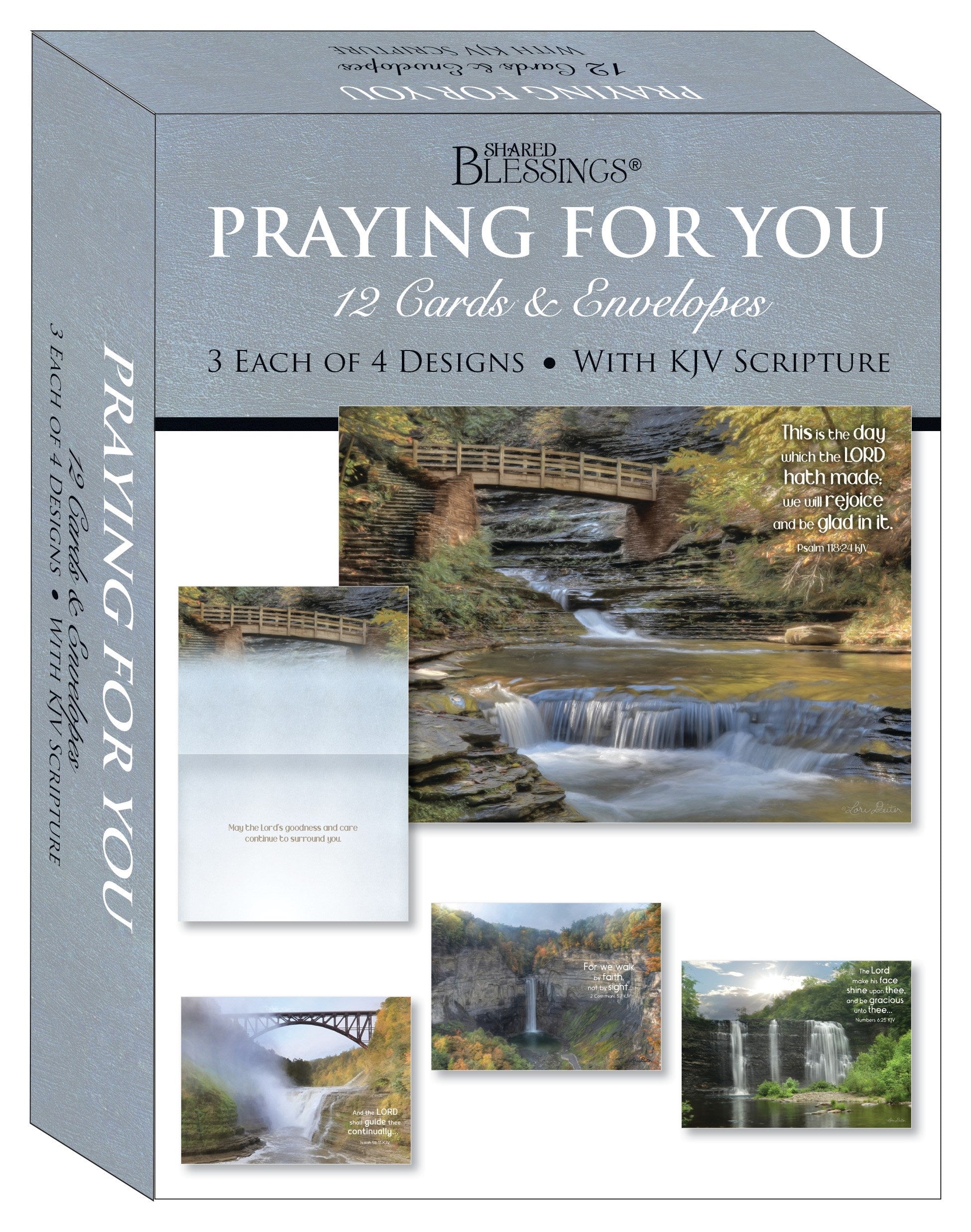 Seed of Abraham Christian Bookstore - (In)Courage - Card-Boxed-Shared Blessings-Praying For You-Waterfalls (Box Of 12)
