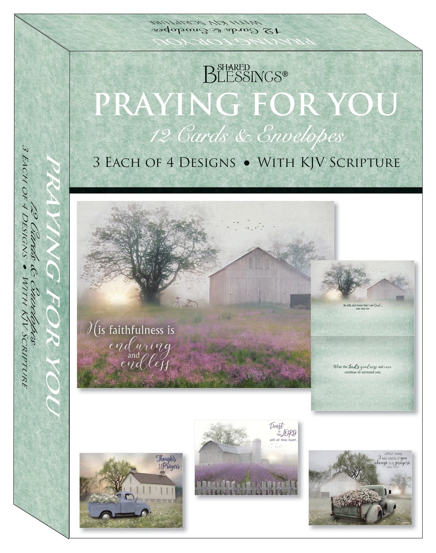Seed of Abraham Christian Bookstore - (In)Courage - Card-Boxed-Shared Blessings-Praying For You-Quiet Places (Box Of 12)