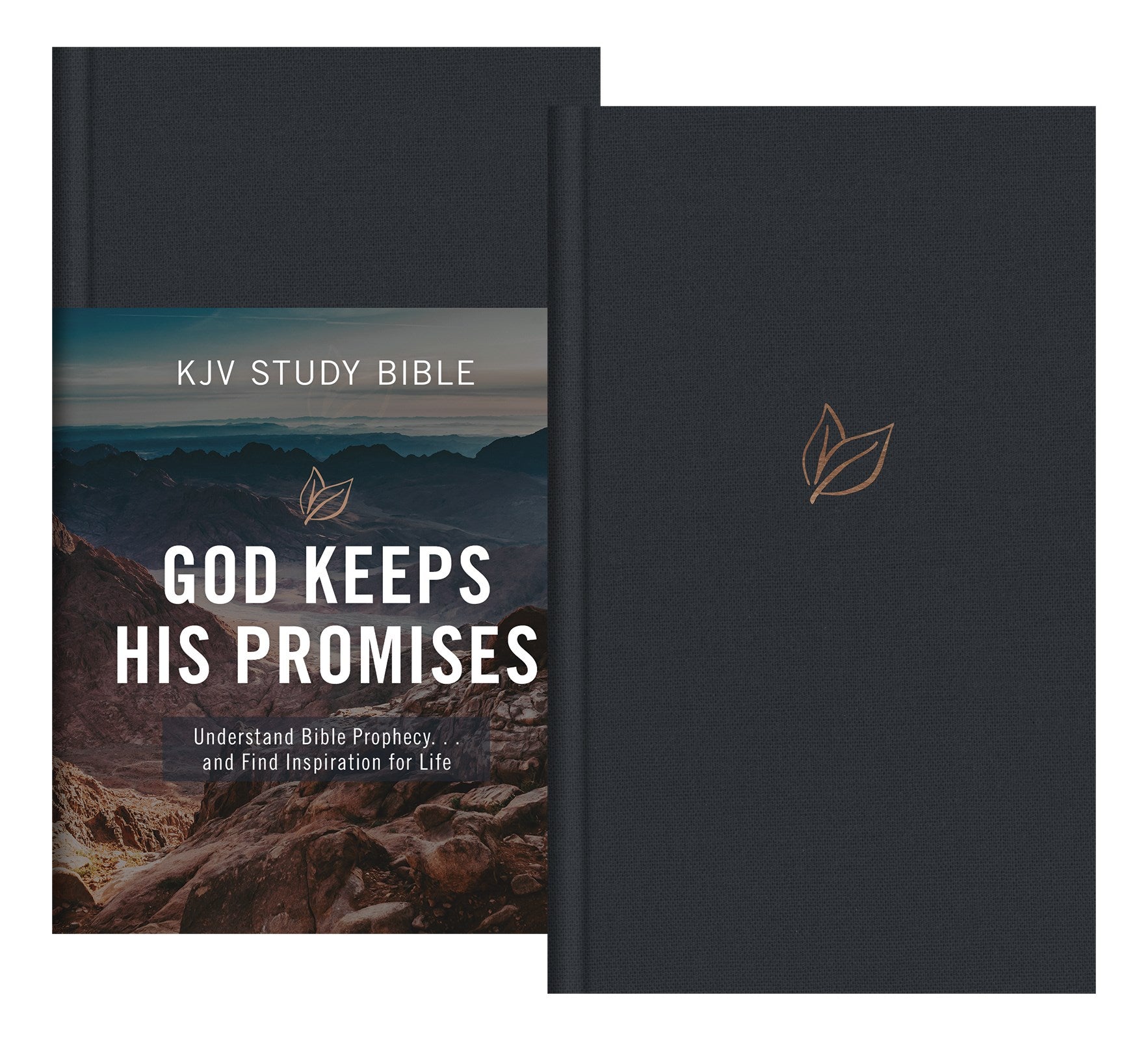 Seed of Abraham Christian Bookstore - (In)Courage - KJV God Keeps His Promises Study Bible-Slate Leaf Hardcover